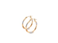 10k Tri-Color Gold Classic Hoop Earrings with Diamond Cut Details(20mm)